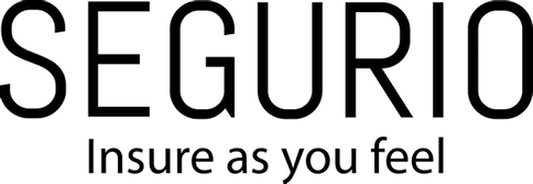 Logo Segurio
